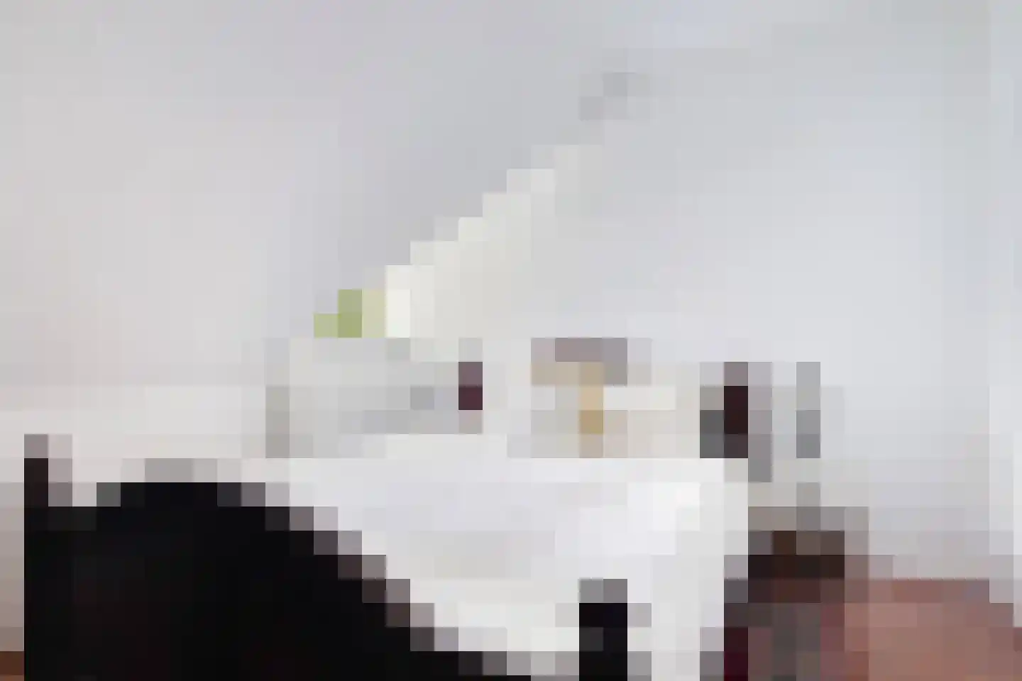 Almasingel 1 Minnertsga thumbnail 32