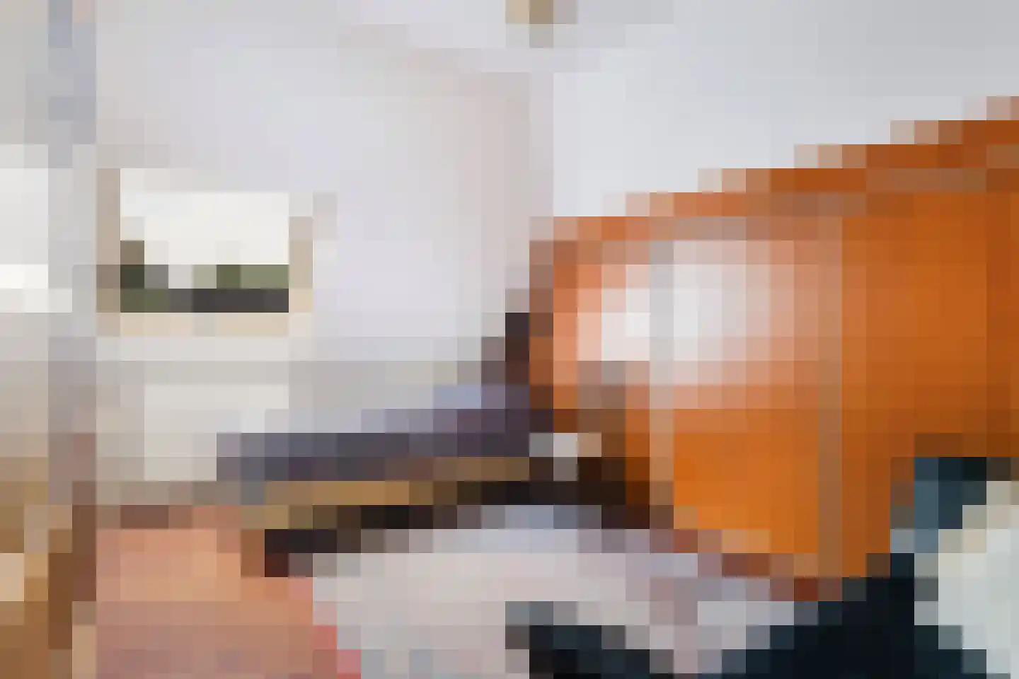 Almasingel 1 Minnertsga thumbnail 34
