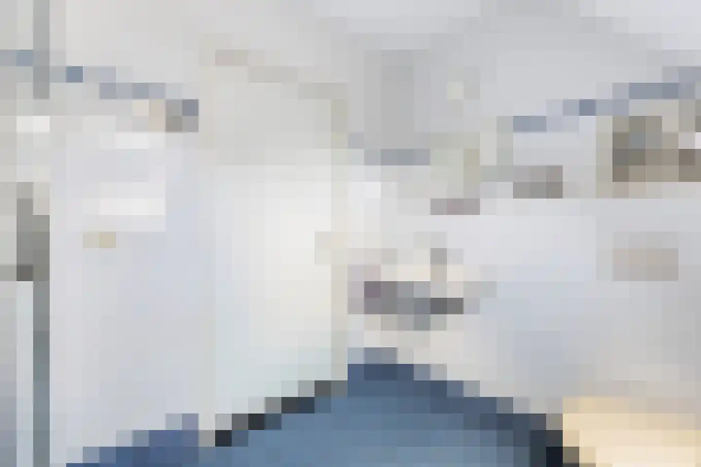 Almasingel 1 Minnertsga thumbnail 37