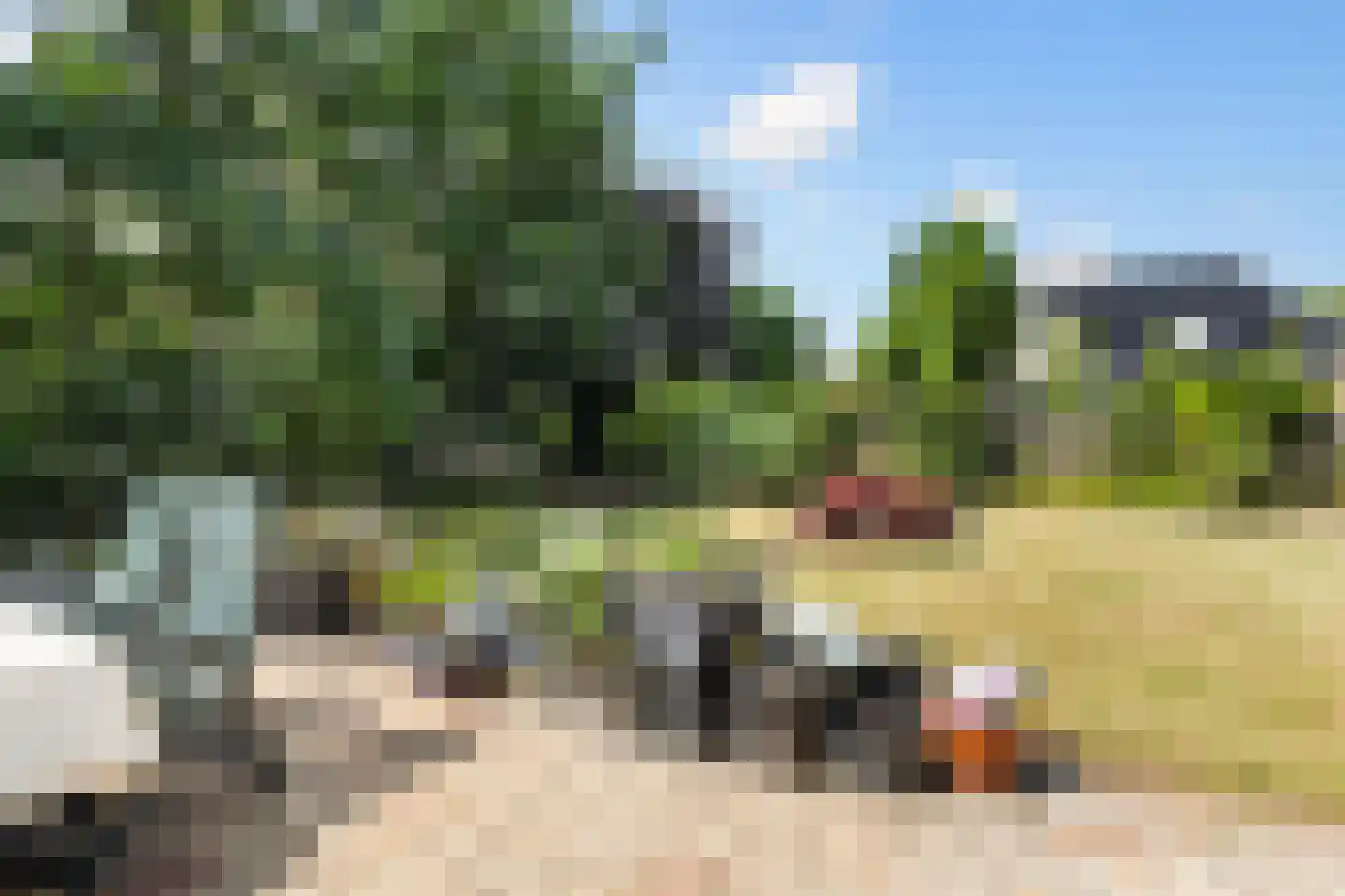 Almasingel 1 Minnertsga thumbnail 39