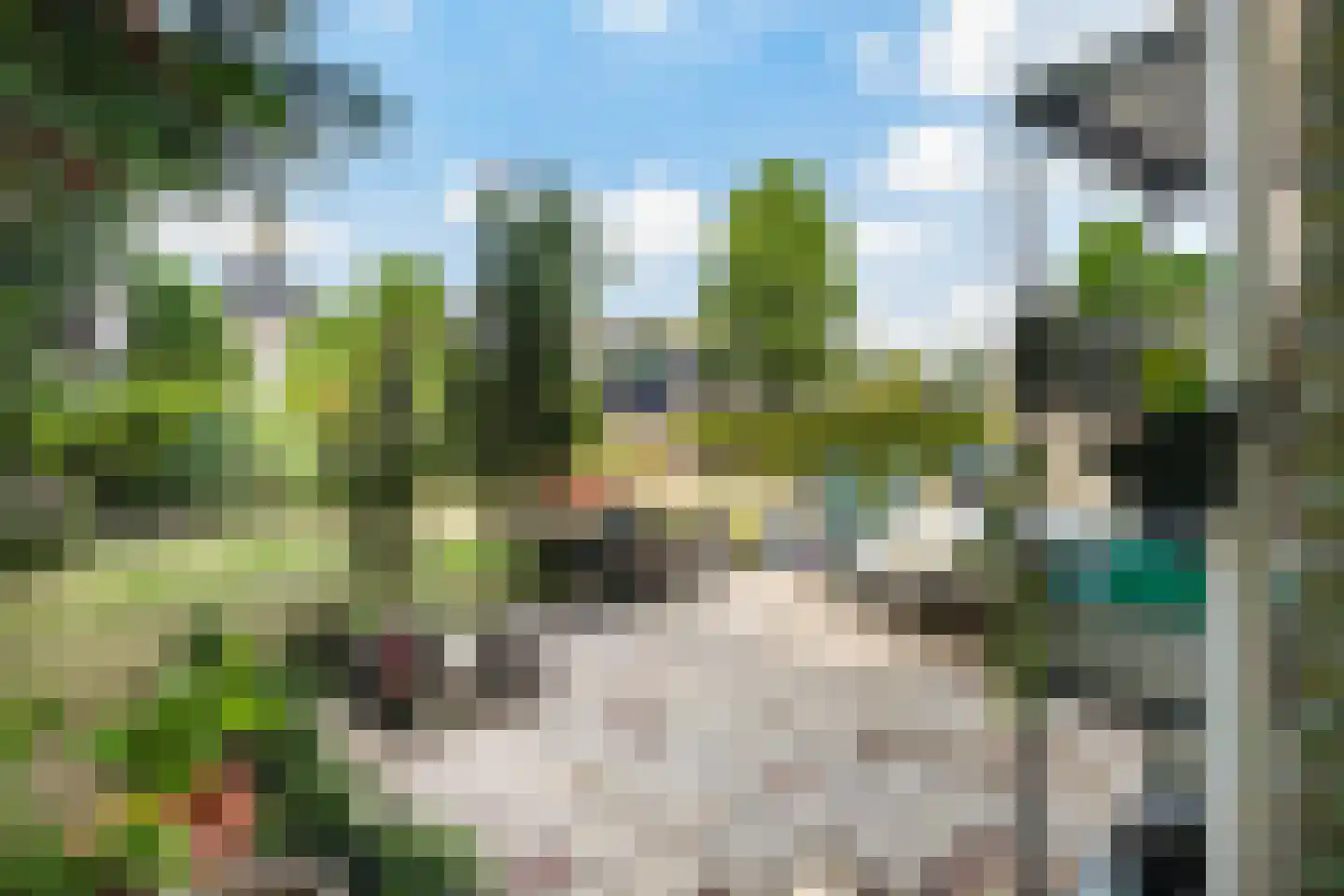 Almasingel 1 Minnertsga thumbnail 40