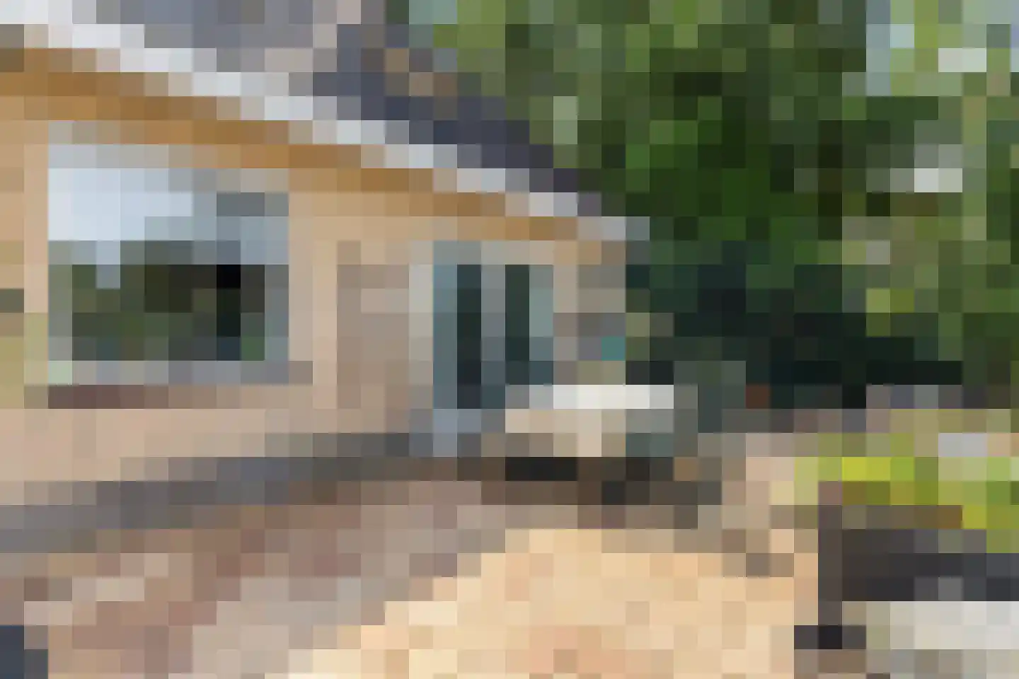 Almasingel 1 Minnertsga thumbnail 41