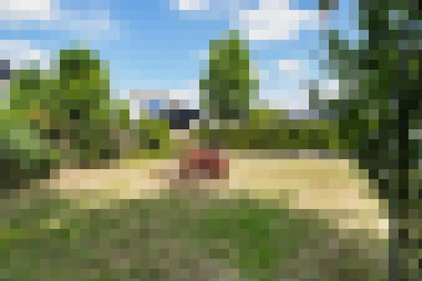 Almasingel 1 Minnertsga thumbnail 43