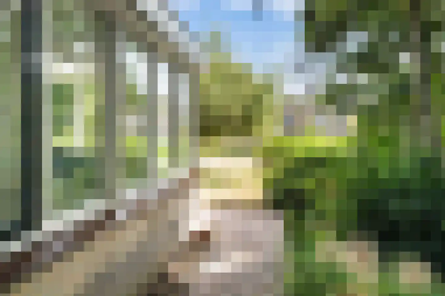 Almasingel 1 Minnertsga thumbnail 44