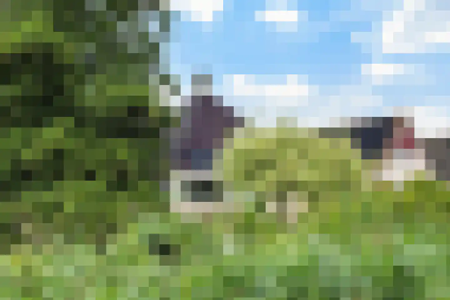 Almasingel 1 Minnertsga thumbnail 46