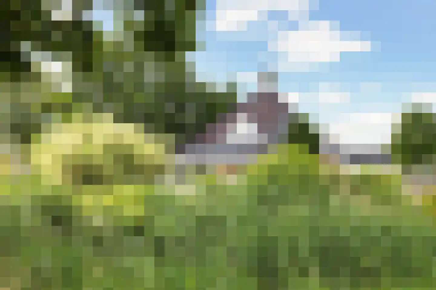 Almasingel 1 Minnertsga thumbnail 47