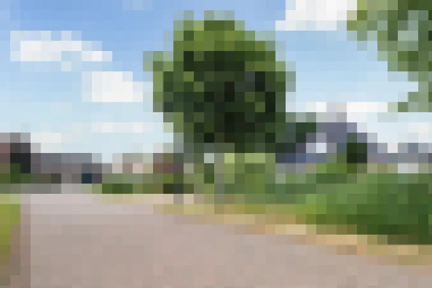 Almasingel 1 Minnertsga thumbnail 48