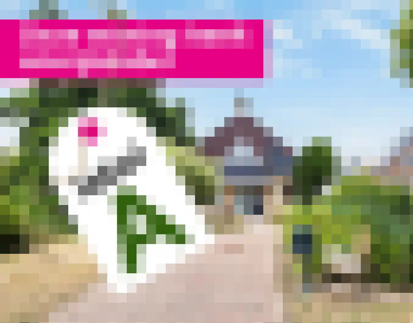 Almasingel 1 Minnertsga thumbnail 49