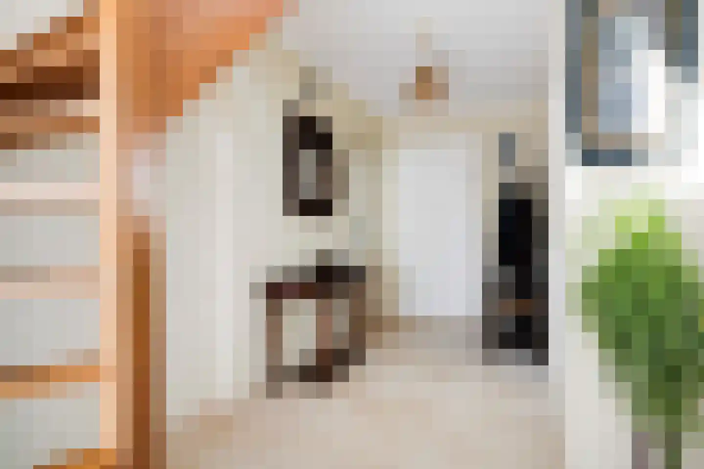 Almasingel 1 Minnertsga thumbnail 5