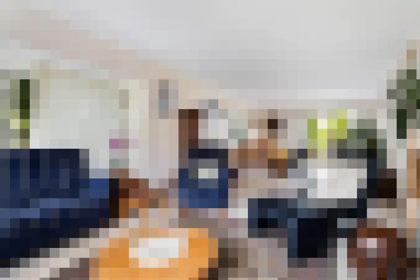 Almasingel 1 Minnertsga thumbnail 8