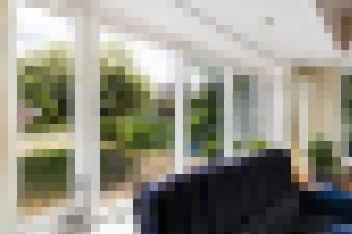 Almasingel 1 Minnertsga thumbnail 9