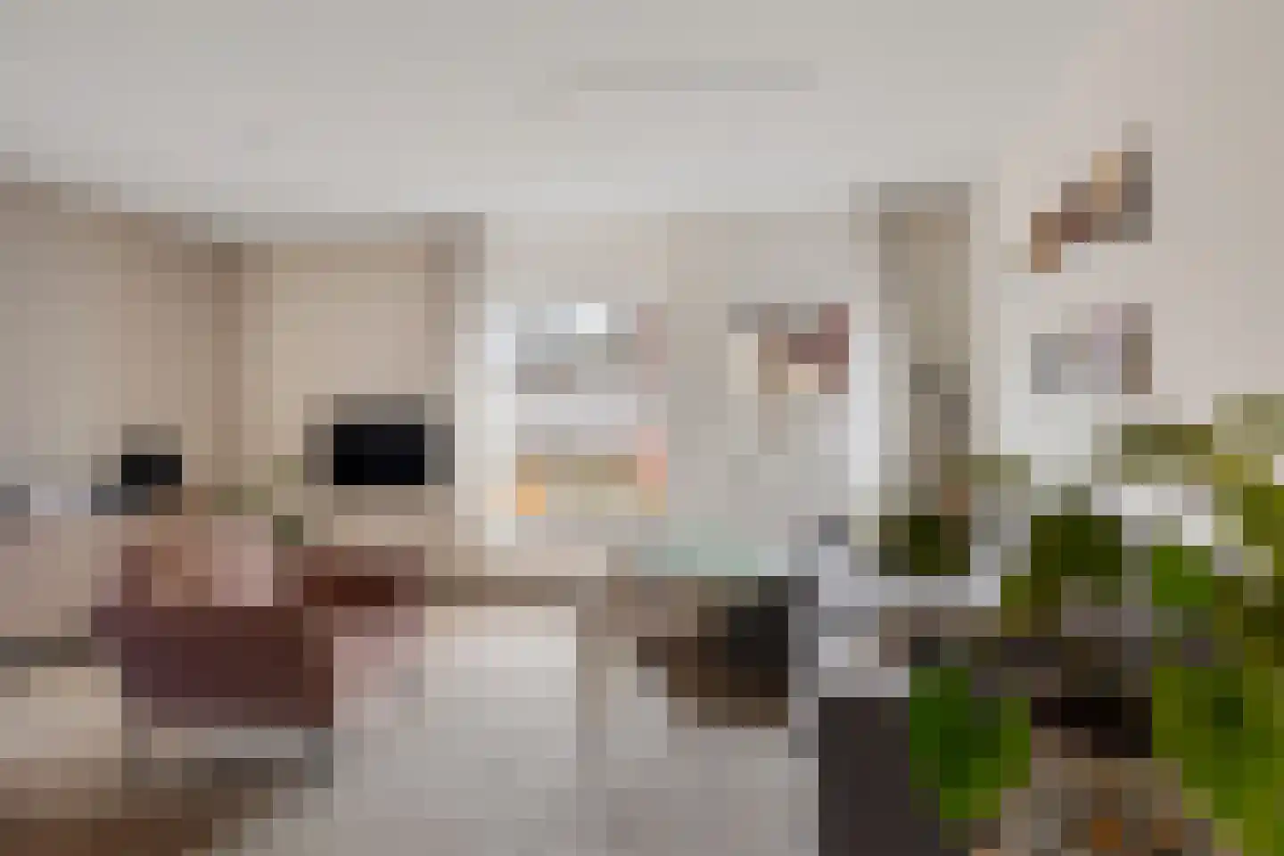 Almastraat 6 Groningen thumbnail 10