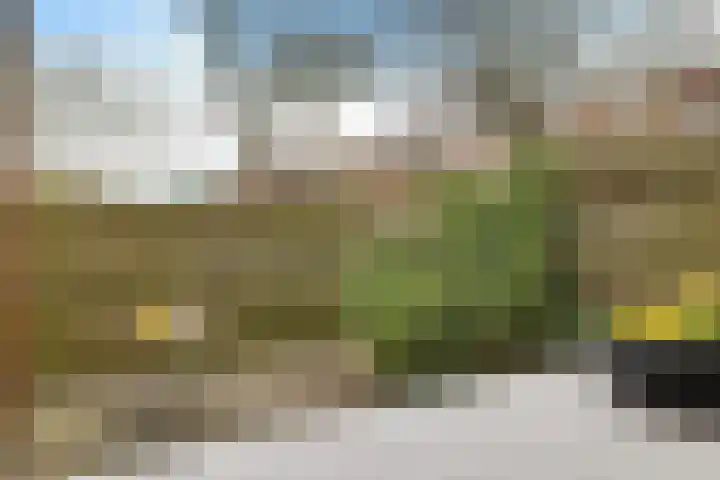Almastraat 6 Groningen thumbnail 30