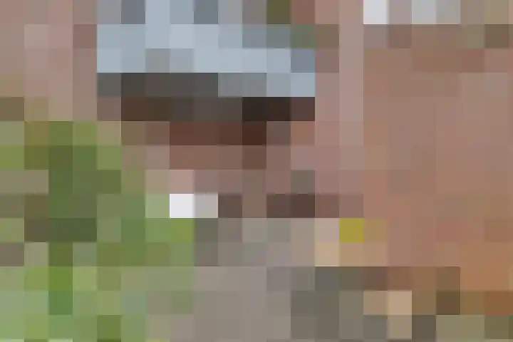Almastraat 6 Groningen thumbnail 31