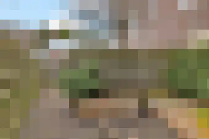 Almastraat 6 Groningen thumbnail 32
