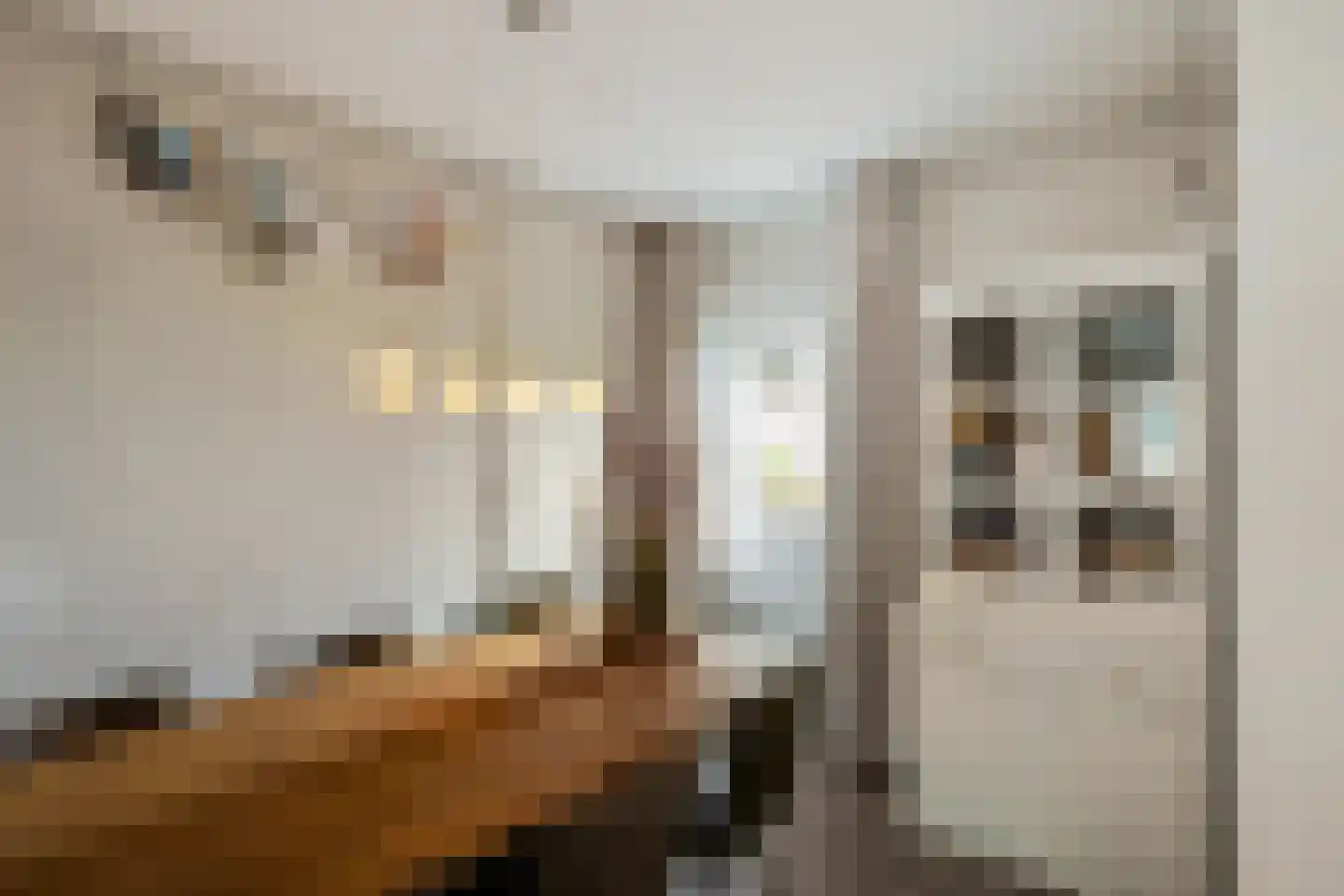 Almastraat 8 a Groningen thumbnail 15