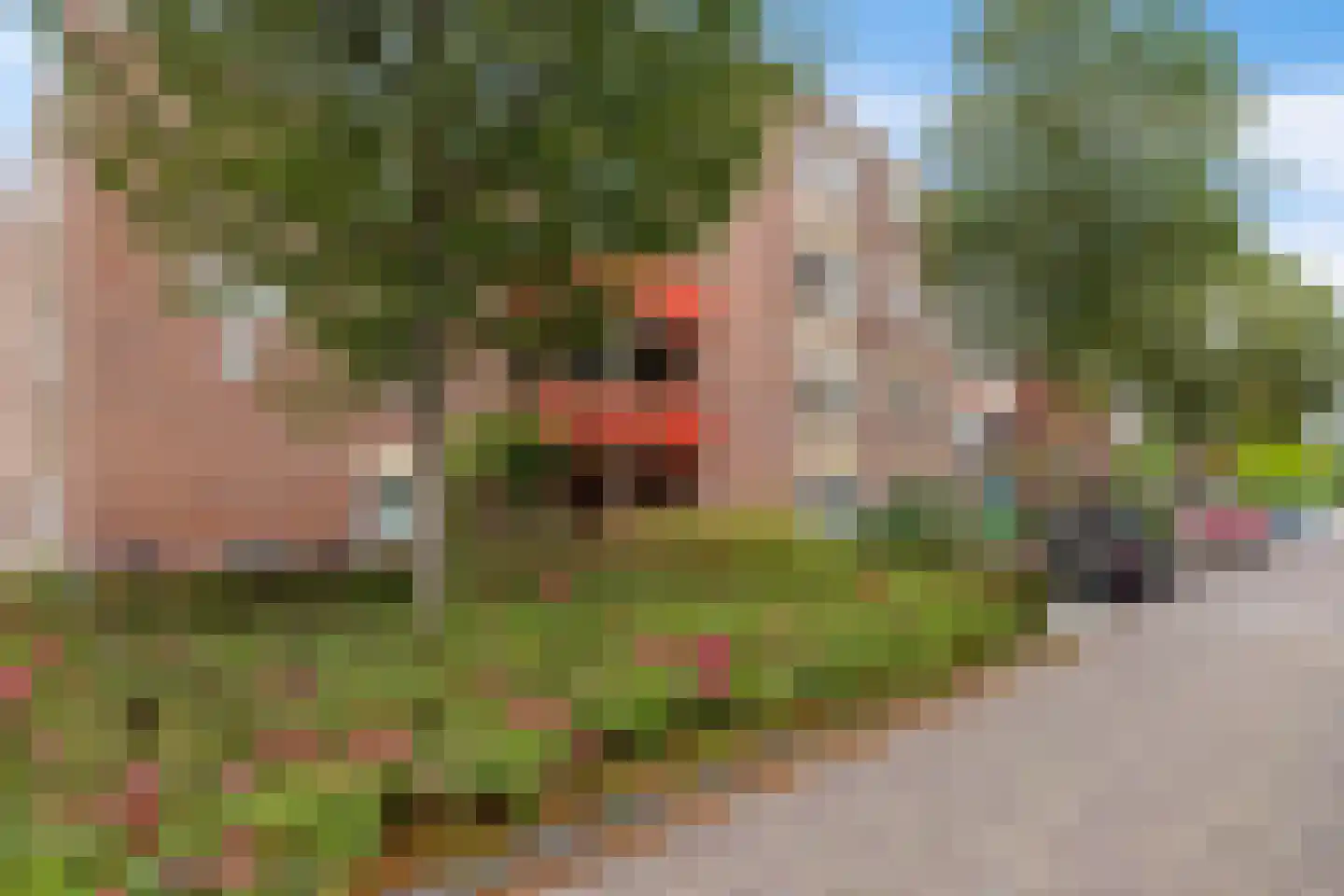Almastraat 8 a Groningen thumbnail 7