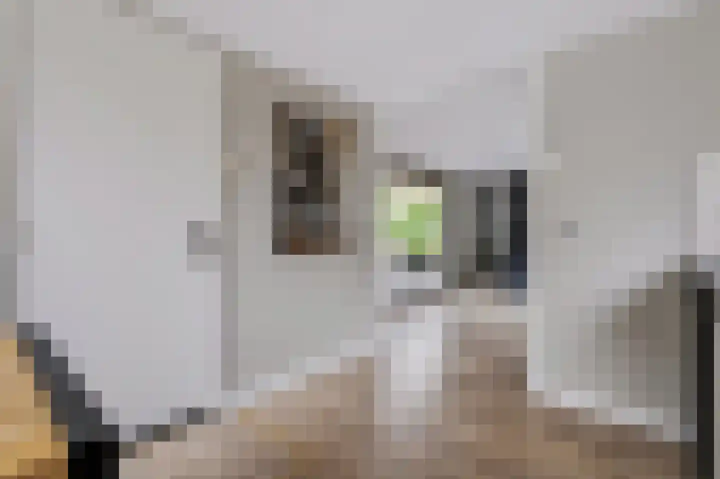 Almelose Kanaal 47 Zwolle thumbnail 11