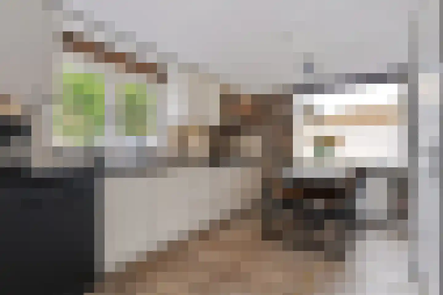 Almelose Kanaal 47 Zwolle thumbnail 6