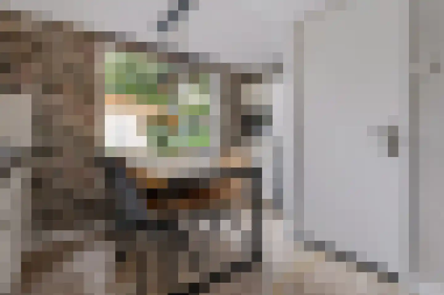 Almelose Kanaal 47 Zwolle thumbnail 8