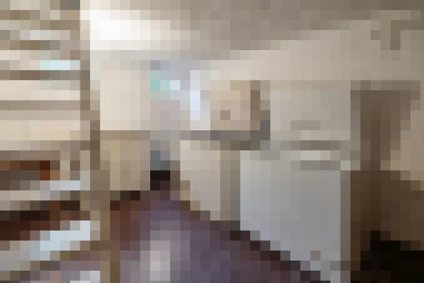 Almelosestraat 12 Raalte thumbnail 14