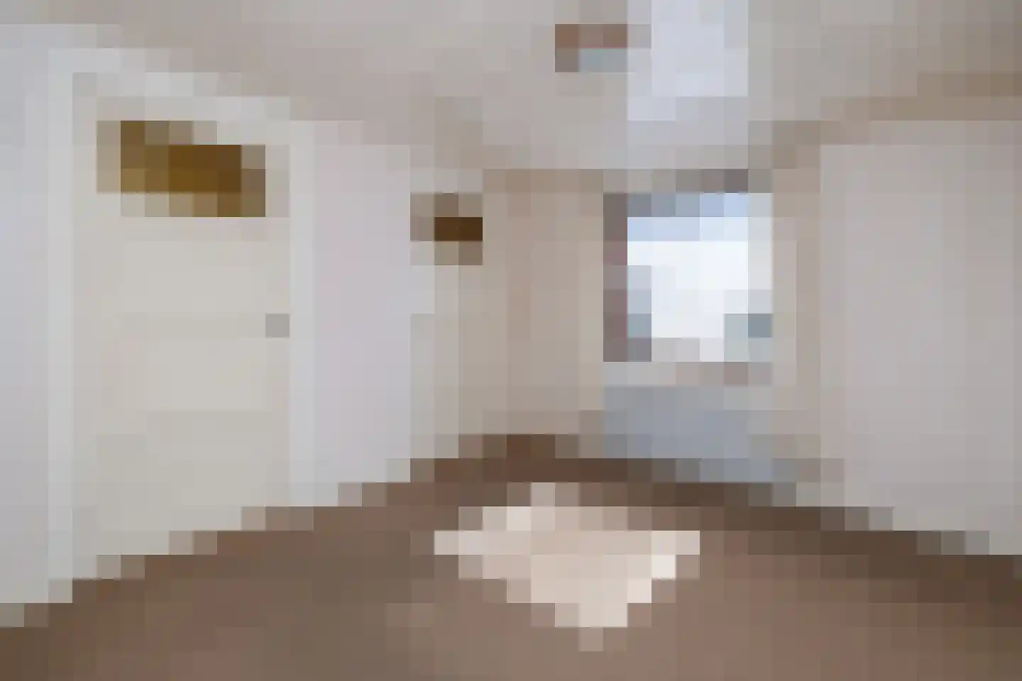 Almelosestraat 12 Raalte thumbnail 21
