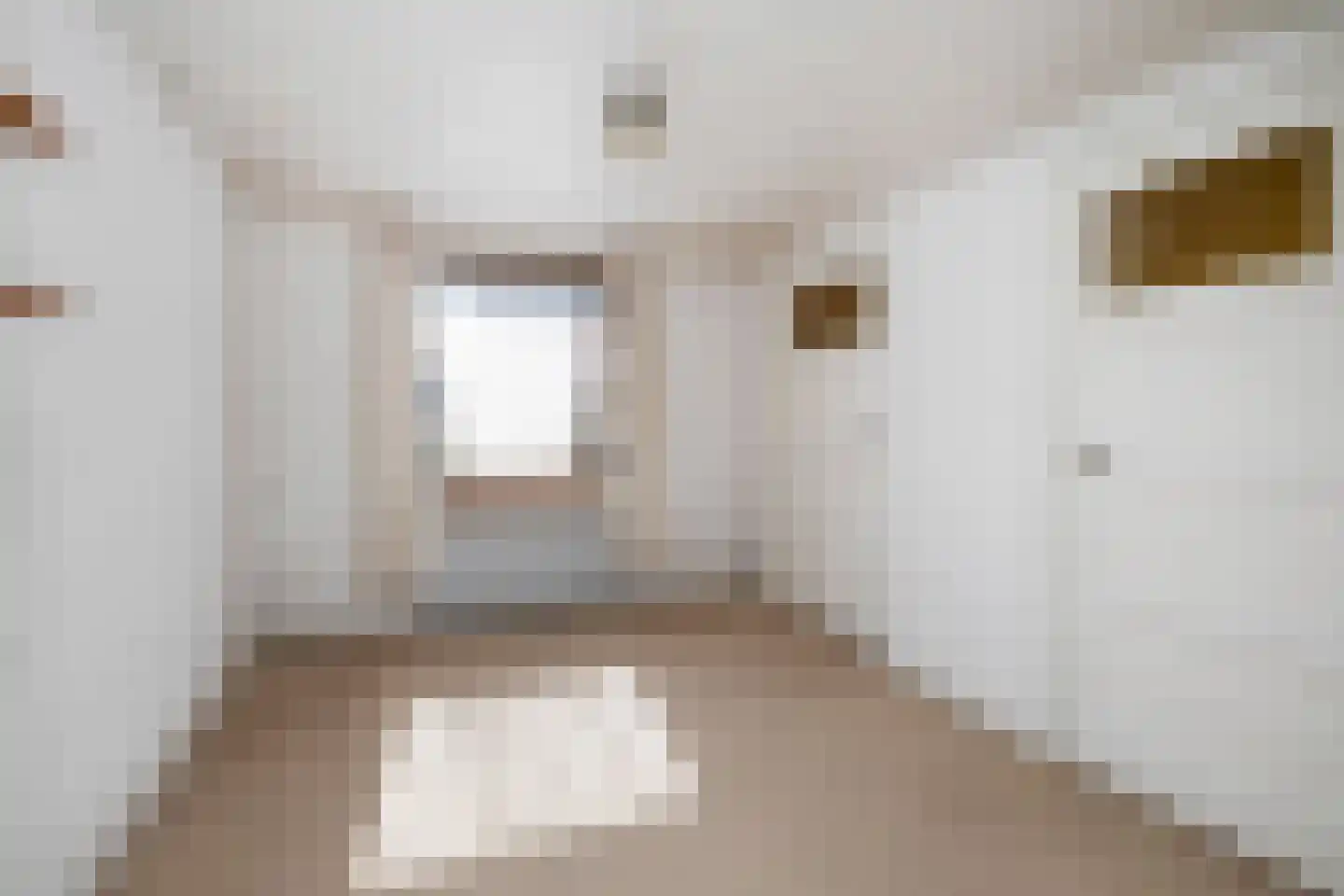 Almelosestraat 12 Raalte thumbnail 22