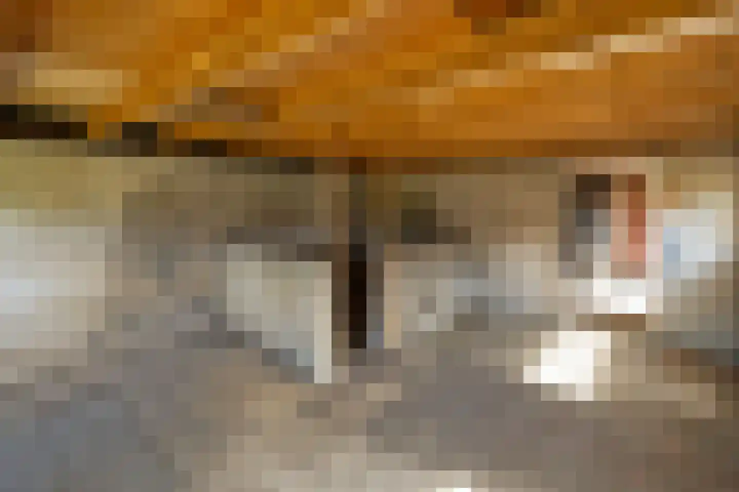 Almelosestraat 12 Raalte thumbnail 35