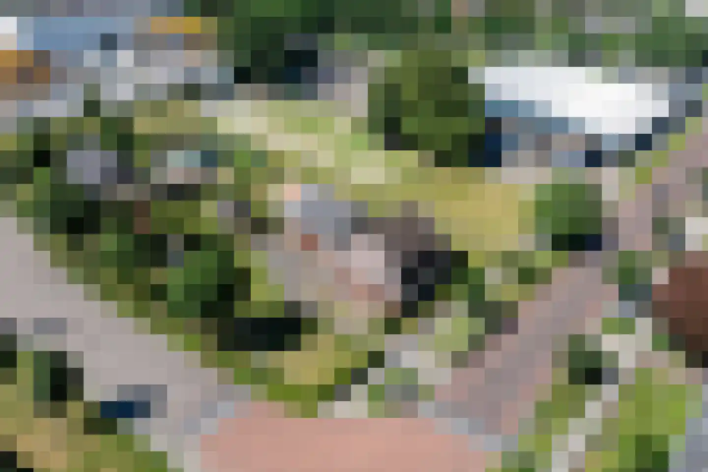 Almelosestraat 12 Raalte thumbnail 39