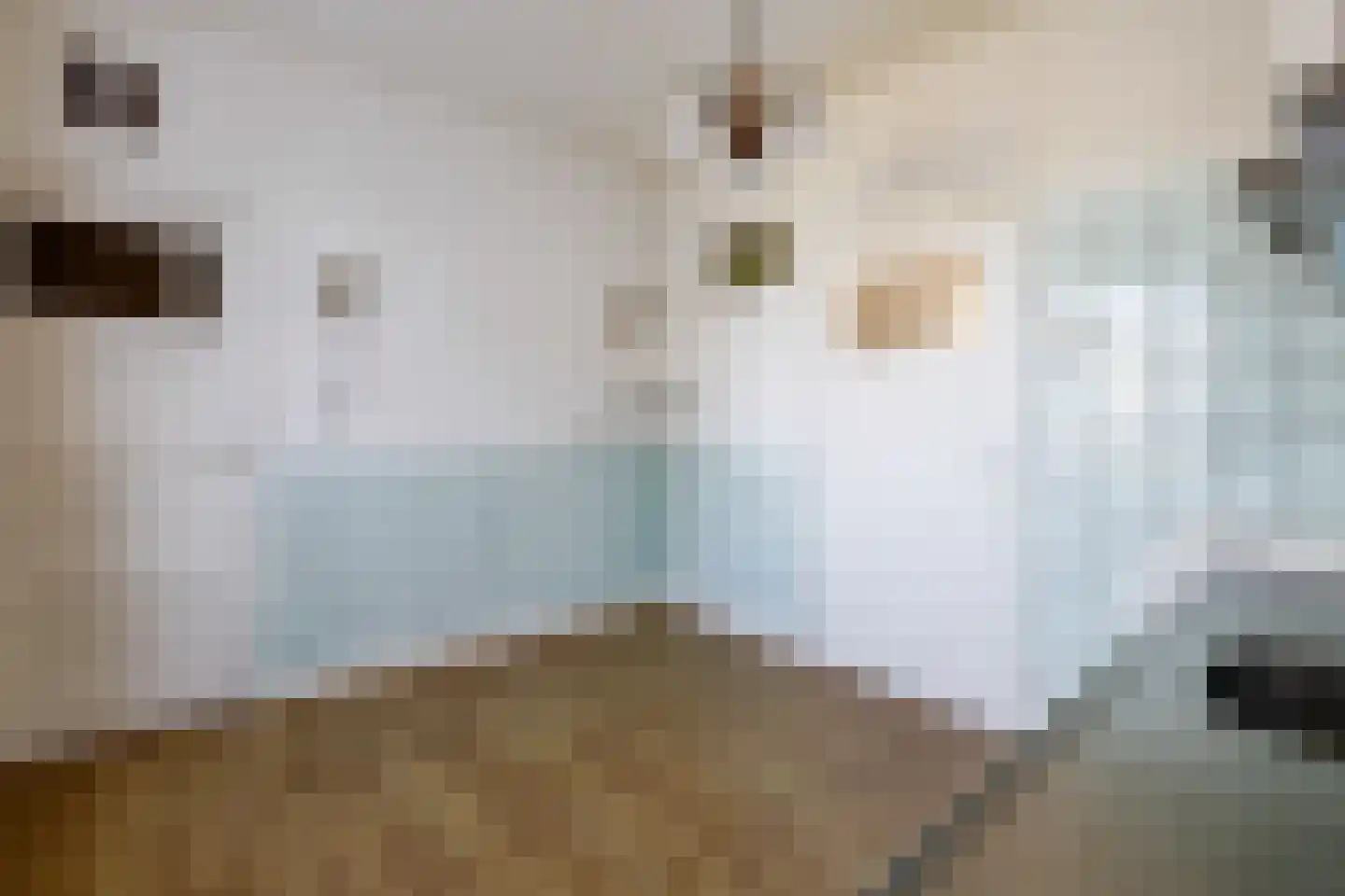 Almelosestraat 12 Raalte thumbnail 9