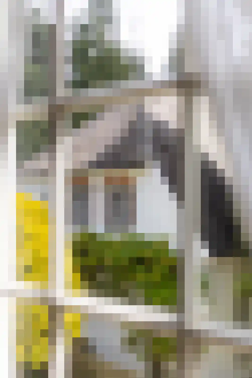 Almelosestraat 14 Ambt Delden thumbnail 38