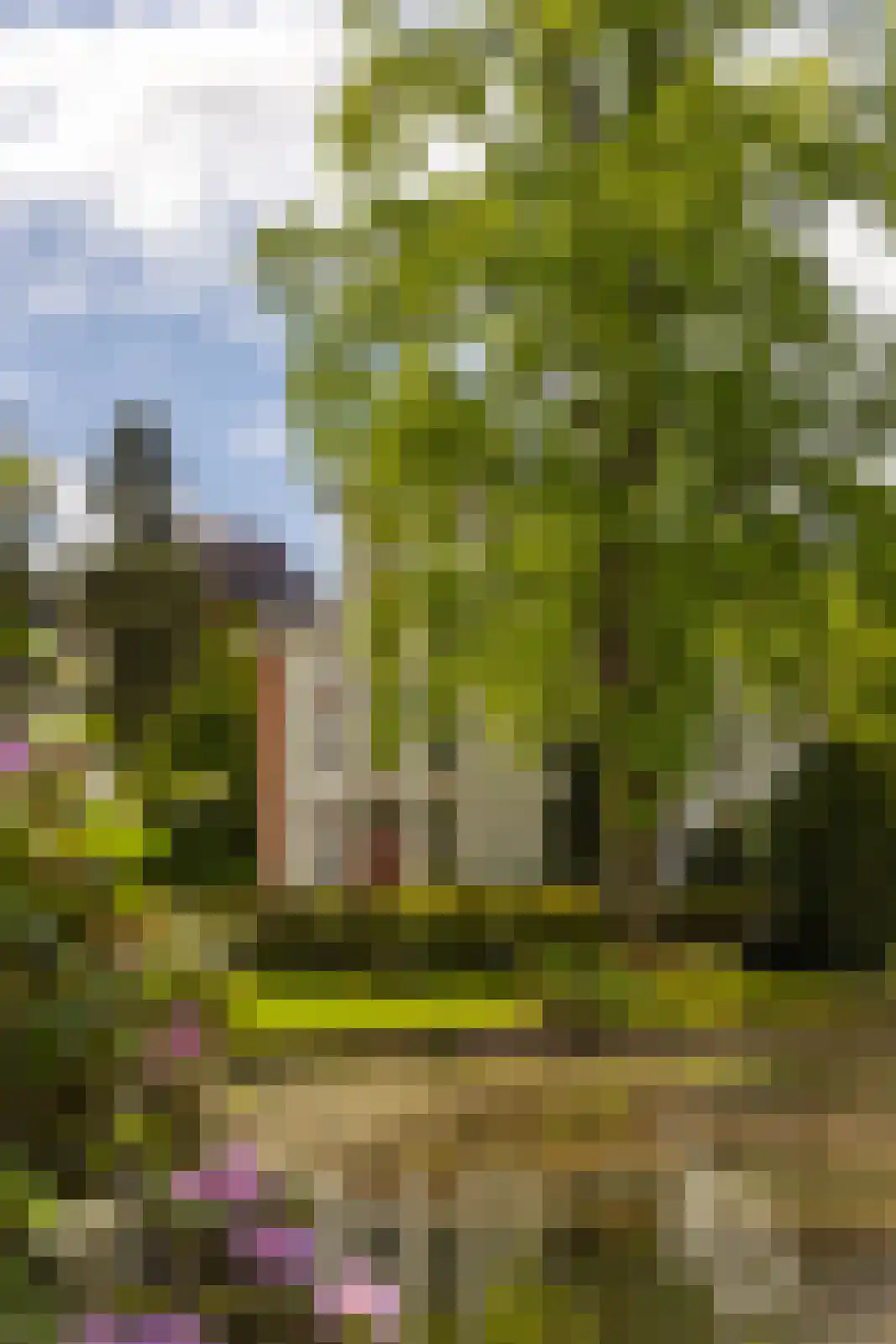 Almelosestraat 14 Ambt Delden thumbnail 62