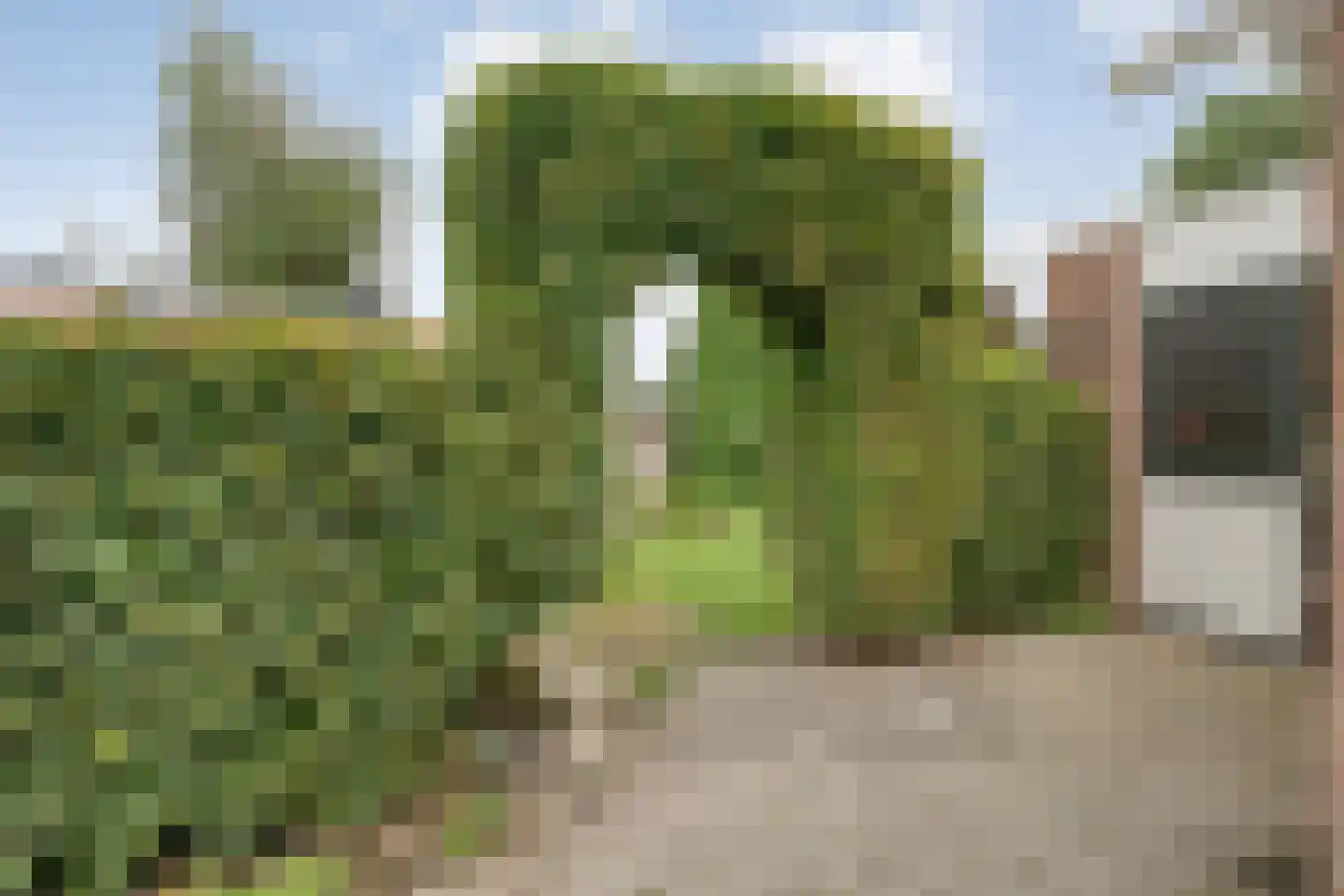Almelosestraat 15 a Raalte thumbnail 17