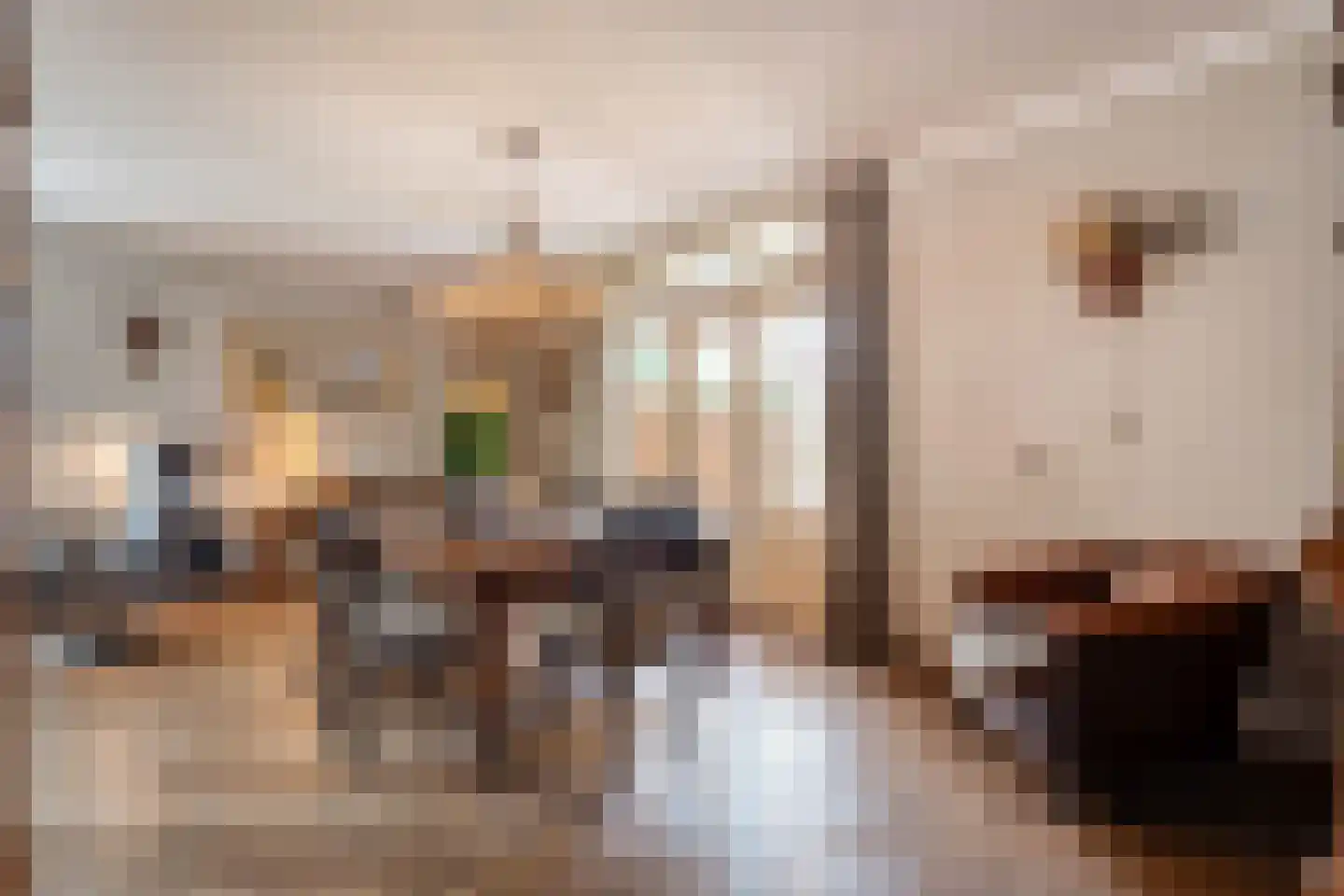 Almelosestraat 15 a Raalte thumbnail 23