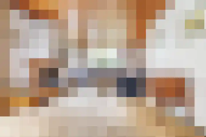 Almelosestraat 29 Wierden thumbnail 12