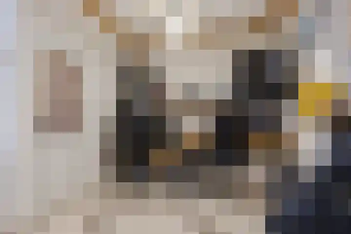 Almelosestraat 29 Wierden thumbnail 16