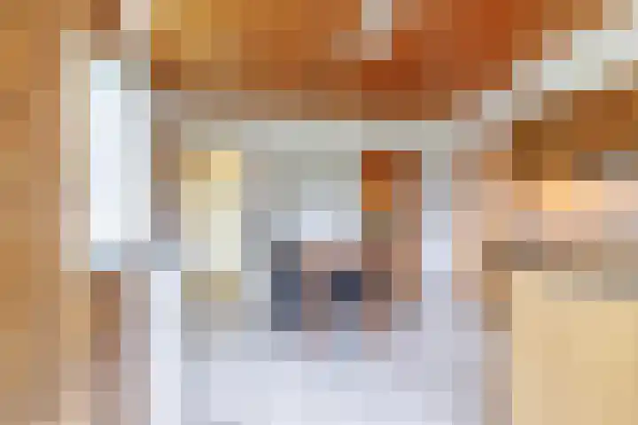 Almelosestraat 29 Wierden thumbnail 17