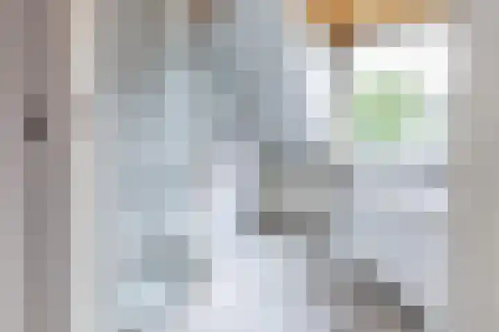 Almelosestraat 29 Wierden thumbnail 30