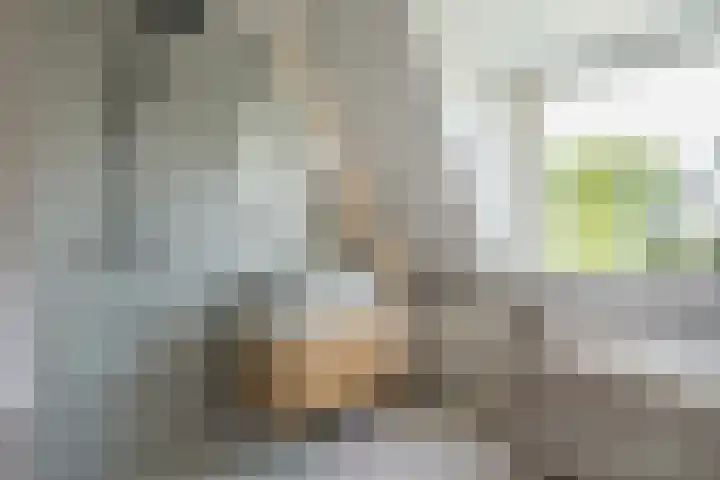 Almelosestraat 29 Wierden thumbnail 31
