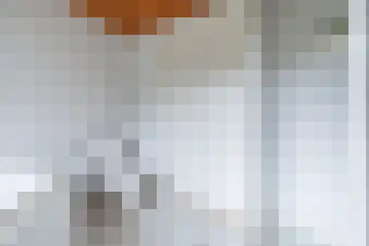 Almelosestraat 29 Wierden thumbnail 32
