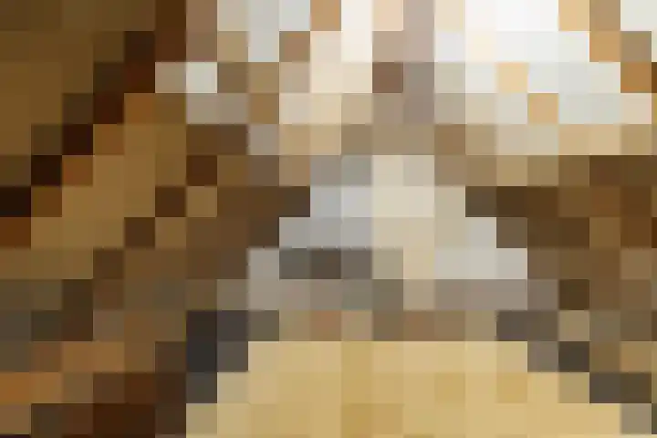 Almelosestraat 29 Wierden thumbnail 41