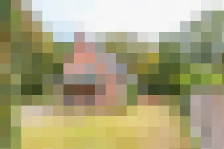 Almelosestraat 29 Wierden thumbnail 44