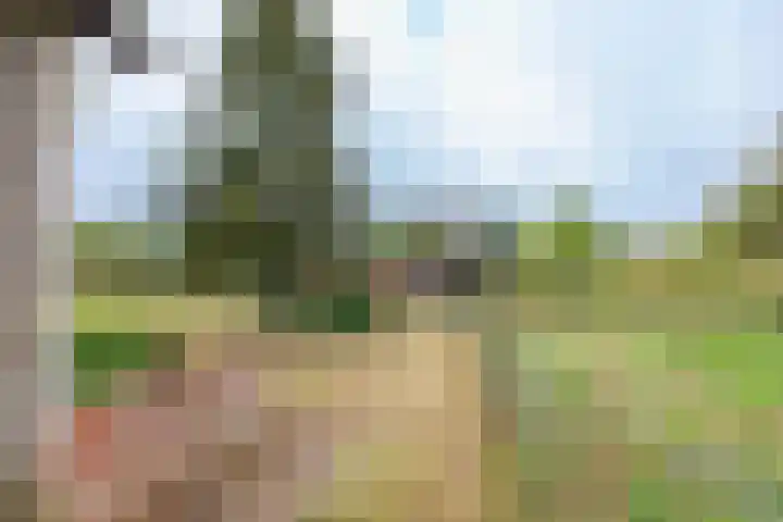 Almelosestraat 29 Wierden thumbnail 47