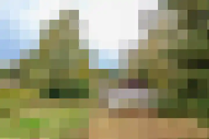 Almelosestraat 29 Wierden thumbnail 48