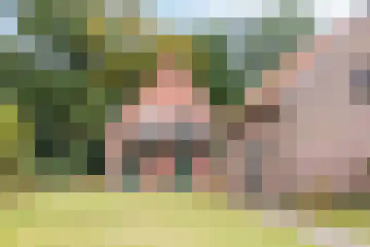 Almelosestraat 29 Wierden thumbnail 49