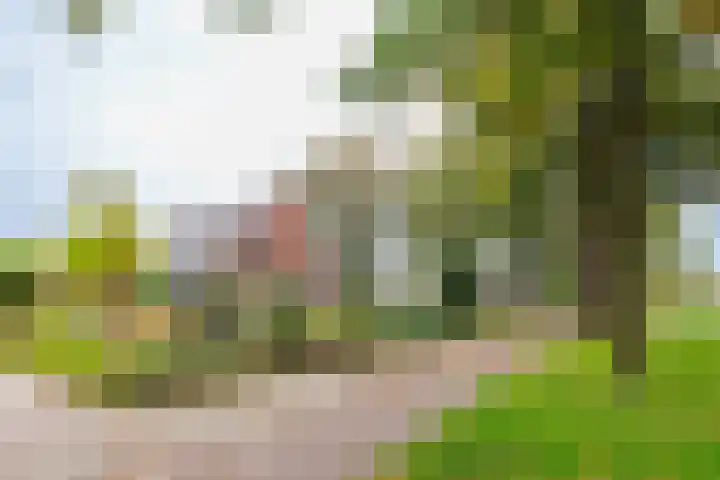 Almelosestraat 29 Wierden thumbnail 5