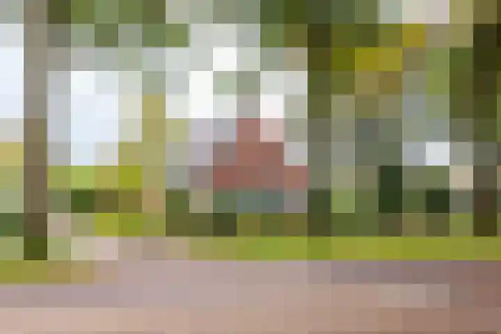 Almelosestraat 29 Wierden thumbnail 52