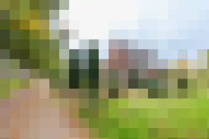 Almelosestraat 29 Wierden thumbnail 53