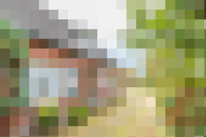 Almelosestraat 29 Wierden thumbnail 7