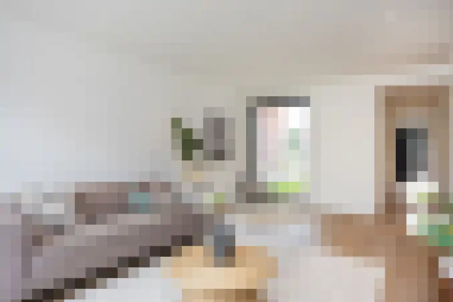 Almelosestraat 49 A Ootmarsum thumbnail 19